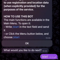 SAFERS Chatbot Tutorial for citizens